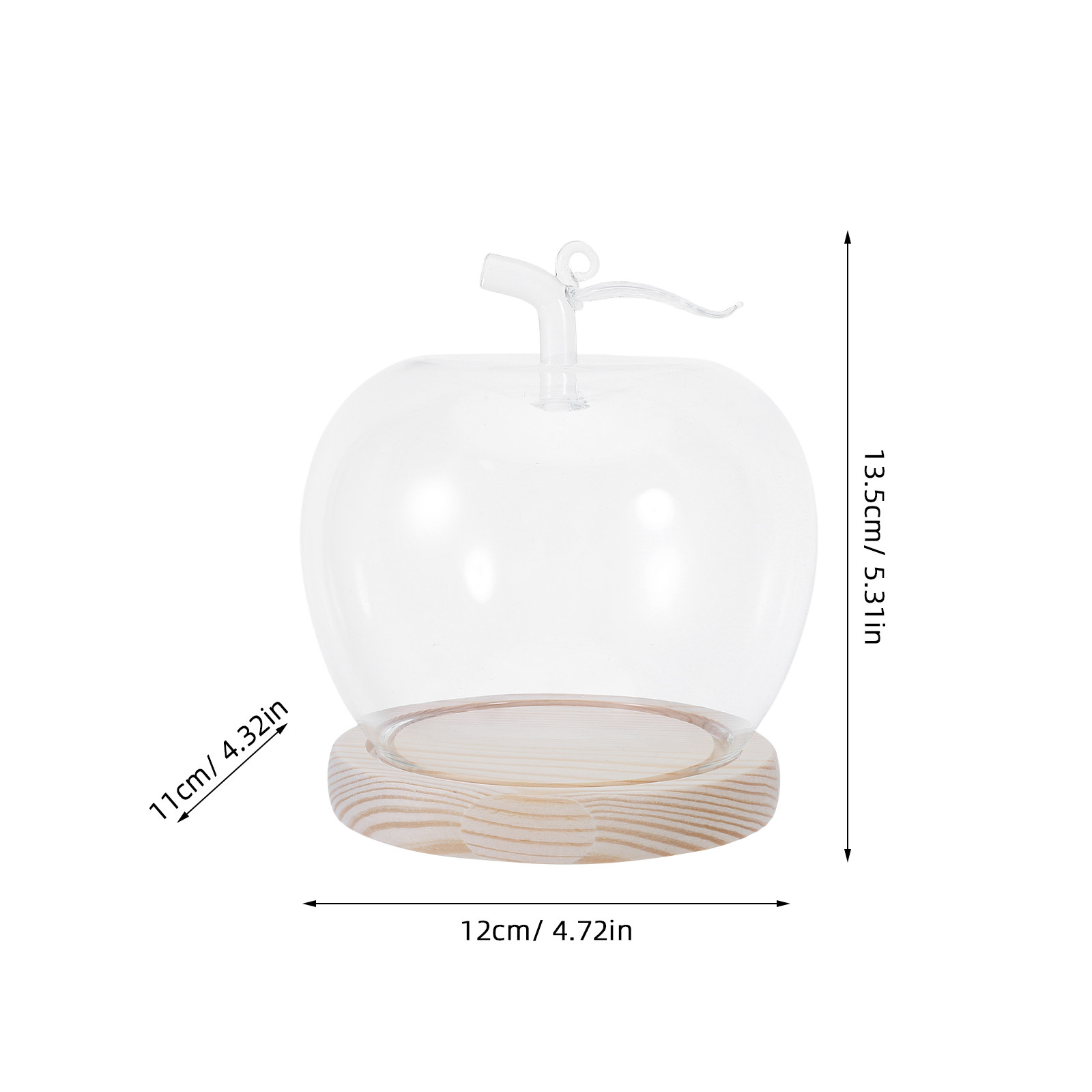 Cam Kubbe Şeffaf Teşhir Kubbes - Plastic Dome Clear incelemesi ve fiyatı